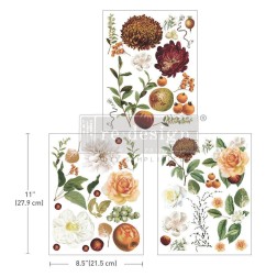 Seasonal Splendor. REDESIGN MIDDY DECOR TRANSFER 666705 | L'aura Bella