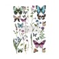 Butterfly Oasis. Transfer, calcomania REDESIGN DECOR TRANSFERS®
