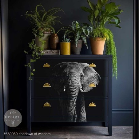 Shadows of Wisdom. A1 Decoupage Fiber Paper Redesign.