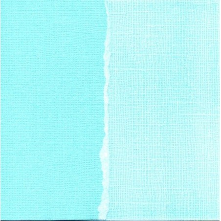 Papel básico scrapbooking. Aruba. Core'dinations