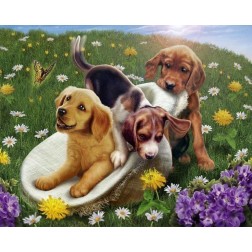 Pintar por números:  Juego con amigos. lienzo enrollado | L'aura Bella