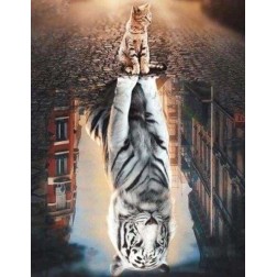 Diamond Painting: Reflejo de un gato en ciudad. 40x50cm | L'aura Bella