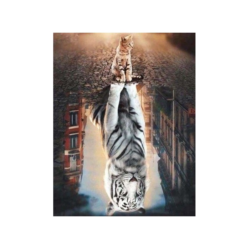 Diamond Painting: Reflejo de un gato en ciudad. 40x50cm | L'aura Bella