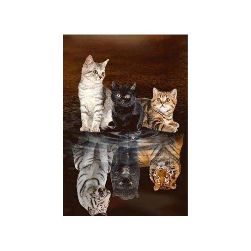 Diamond Painting: Reflejos de gatitos. 40x50cm | L'aura Bella