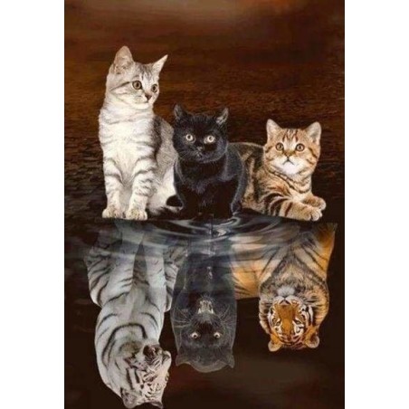 Diamond Painting: Reflejos de gatitos. 40x50cm | L'aura Bella