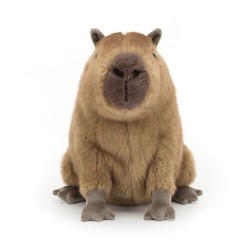 Clyde Capybara, Capibara. Peluche Jellycat CLY6C | L'aura Bella