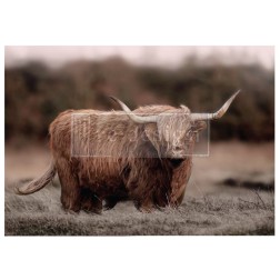 Highland Grace. A1 Decoupage Paper Redesign 672898 | L'aura Bella