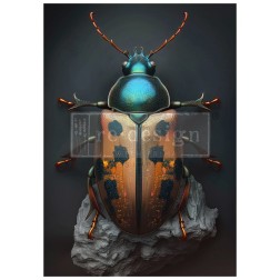 Brass Scarab. A1 Decoupage Paper Redesign 673109 | L'aura Bella
