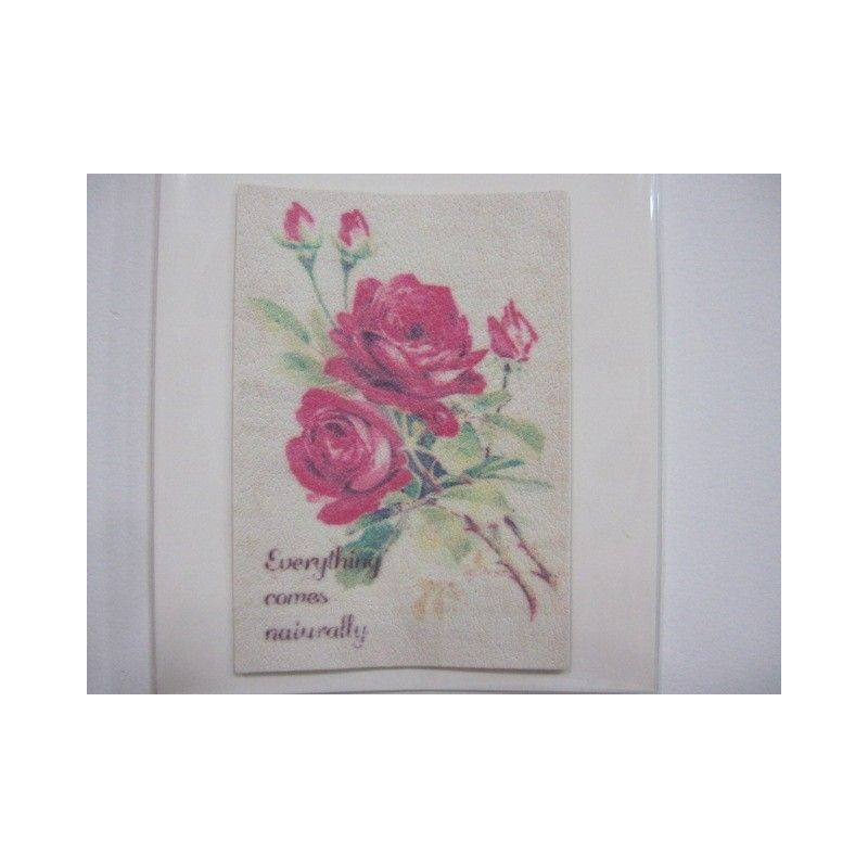 Pegatina para papel y tela. Be natural. Dailylike. Decoraciones, Pegatinas