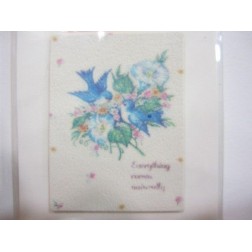 Pegatina para papel y tela. Be natural. Dailylike. Decoraciones, Pegatinas