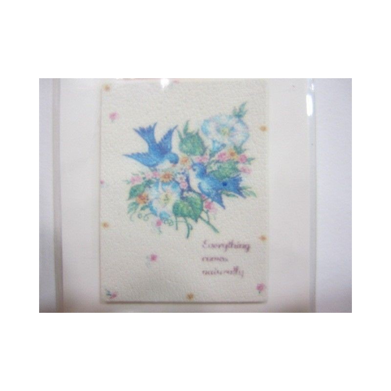 Pegatina para papel y tela. Be natural. Dailylike. Decoraciones, Pegatinas