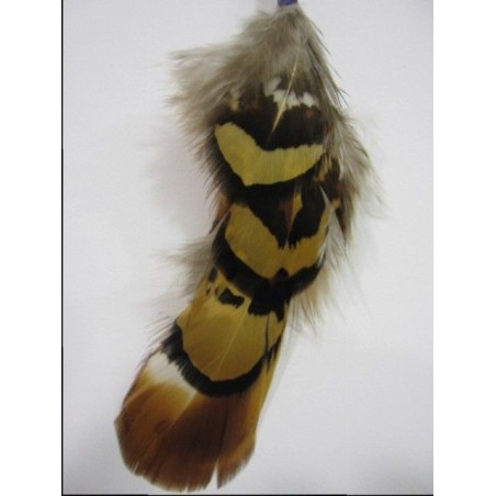 Pluma tonos marrones