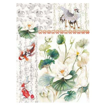 Japanese, Nenúfares y Kois. Papel arroz 32x45cm TCR-21 | L'aura Bella