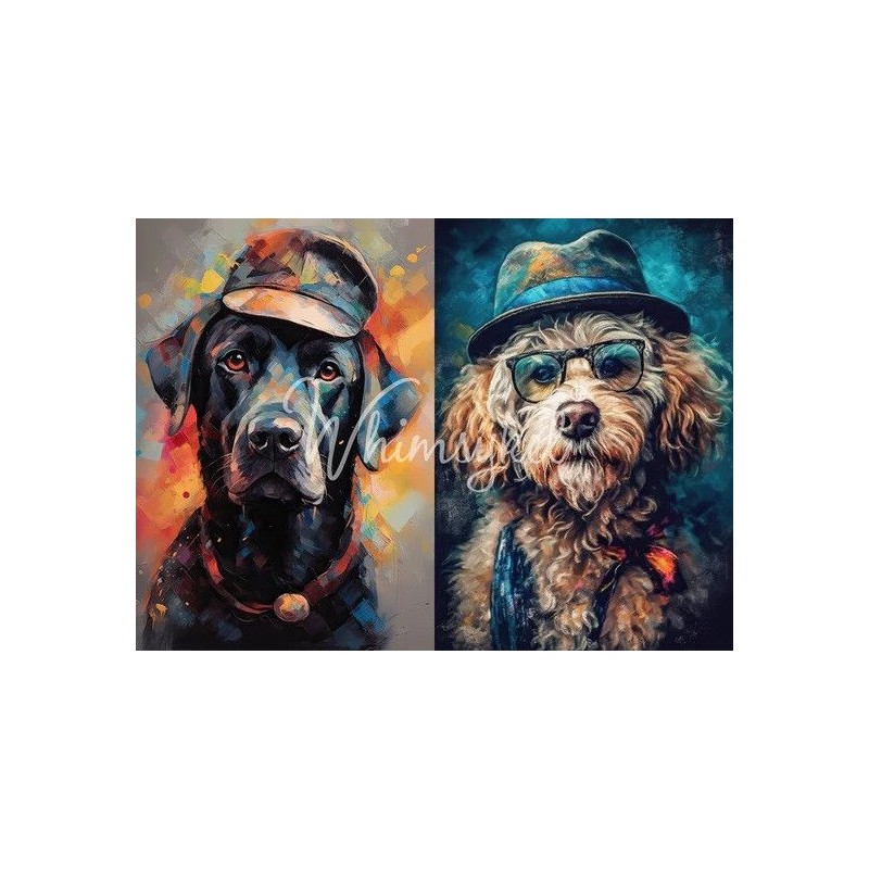 Painter/Doodle Duo. Papel Decoupage Whimsykel Designs | L'aura Bella