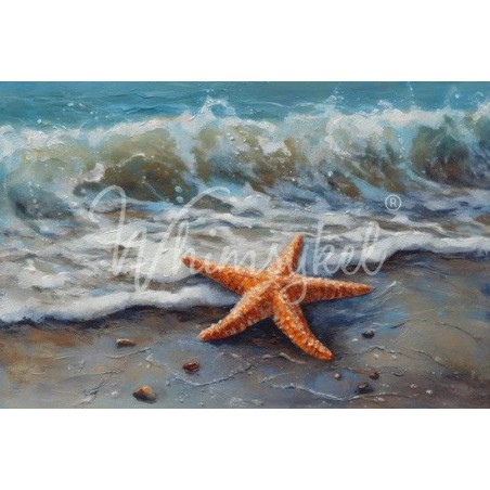 Beach Star. Papel Tissue Decoupage Whimsykel Designs | L'aura Bella
