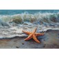 Beach Star, estrella de mar en la playa. Papel Tissue para Decoupage. Whimsykel Designs