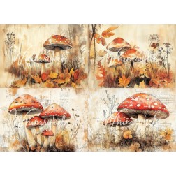 Fall Mushrooms. Papel Tisú Decoupage Whimsykel Designs | L'aura Bella