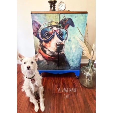 Rascal, perro con gafas. Papel Tissue para Decoupage. Whimsykel Designs