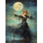 Moonbeam Rhapsody, mujer bailando a la luz de la luna. Papel Tissue para Decoupage. Whimsykel Designs