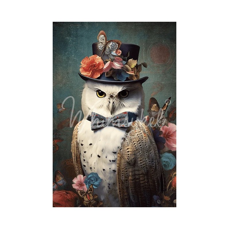Reginald, búho. Papel Tisú Decoupage Whimsykel Designs | L'aura Bella