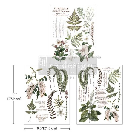 Greenery Grace. REDESIGN MIDDY TRANSFERS® 676636 | L'aura Bella