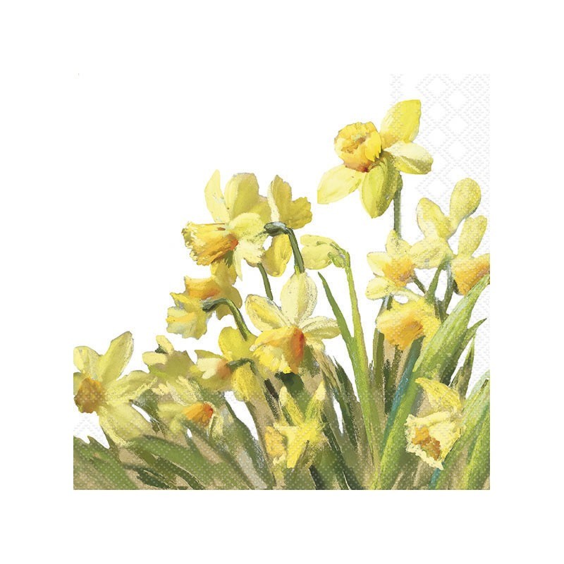Servilleta decoupage: Golden Daffodils, Narciso 33x33cm | L'aura Bella