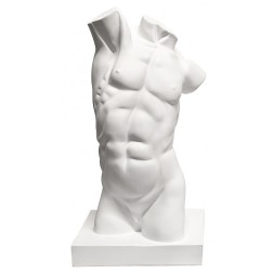 Torso Masculino 43,5cm. Resina de poliuretano. Cadence | L'aura Bella