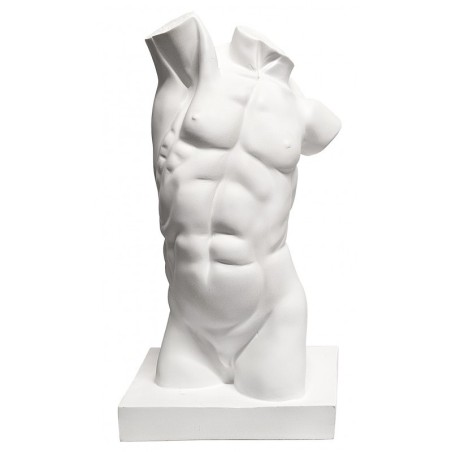 Torso Masculino 43.5cm. Resina de poliuretano. Cadence.