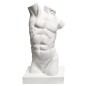 Torso Masculino 43.5cm. Resina de poliuretano. Cadence.