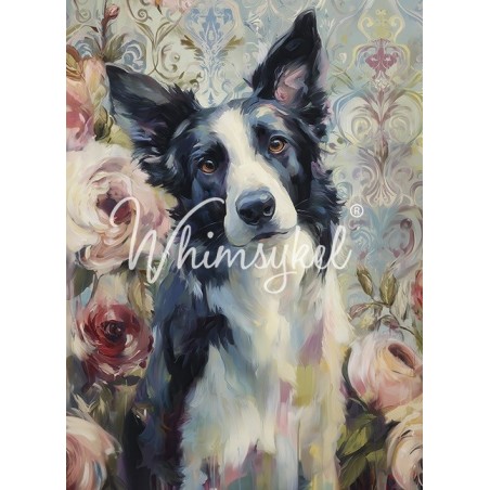 Border Collie. Papel Tisú Decoupage Whimsykel Designs | L'aura Bella