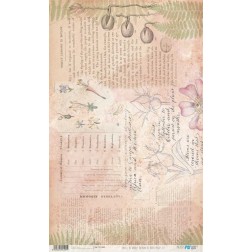 Botanical Book Pages III. Papel arroz 54x33cm. PFY14589 | L'aura Bella