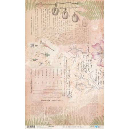 Botanical Book Pages III. Papel arroz 54x33cm. PFY14589 | L'aura Bella