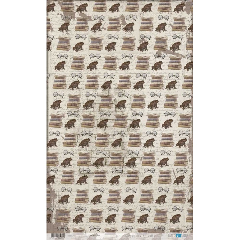 Wizarding Adventure II. Papel arroz. 54x33cm. PFY13257 | L'aura Bella