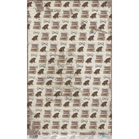 Wizarding Adventure II. Papel arroz. 54x33cm. PFY13257 | L'aura Bella