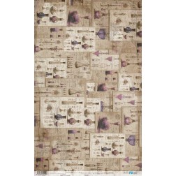 Wizarding Adv. Potions. Papel arroz. 54x33cm. PFY13265 | L'aura Bella