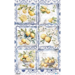 Lemon III. Papel de arroz. 54x33cm. PFY13762 | L'aura Bella