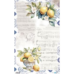 Lemon VI. Papel de arroz. 54x33cm. PFY13765 | L'aura Bella