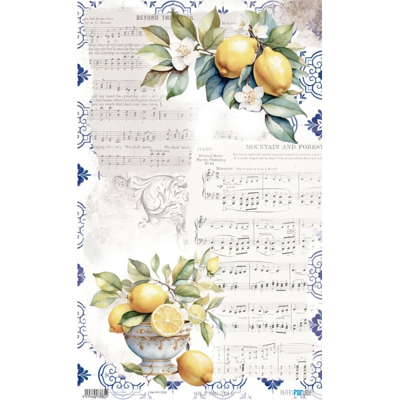 Lemon VI. Papel de arroz. 54x33cm. PFY13765 | L'aura Bella