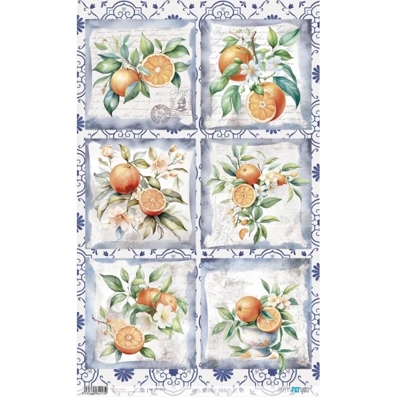 Oranges III. Papel de arroz. 54x33cm. PFY14213 | L'aura Bella
