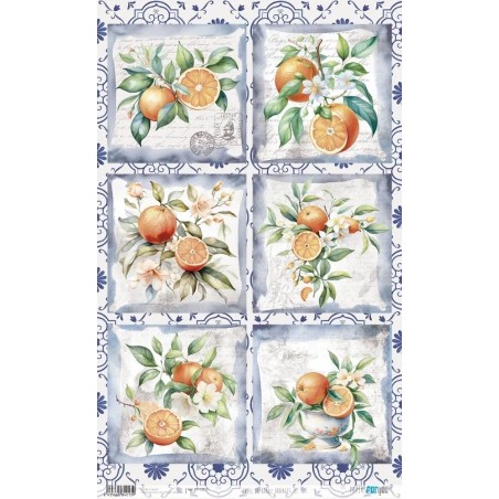 Oranges III. Papel de arroz. 54x33cm. PFY14213 | L'aura Bella