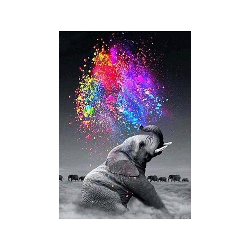 Pintar por números: Elefante y explosión de colores. 40 x 50 cm. Lienzo sobre Bastidor. Figured'Art