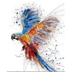 Pintar por números: Loro multicolor volando. Bastidor | L'aura Bella
