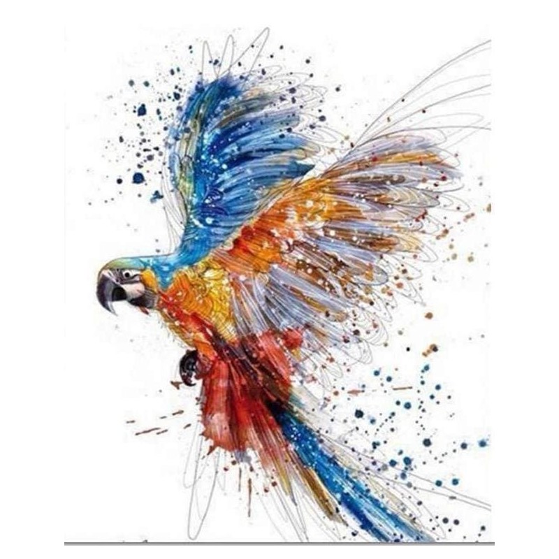 Pintar por números: Loro multicolor volando. 40 x 50 cm. Lienzo sobre Bastidor. Figured'Art