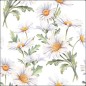 Servilleta para decoupage: Beautiful Daisies White. 33x33 cm Servilleta para decoupage: Beautiful Daisies White. 33x33 cm