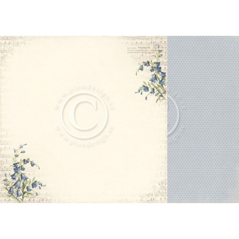 Papel scrapbooking Bluebells Pion Design PD5508F | L'aura Bella