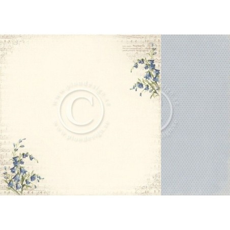 Papel Scrapbooking. Colección: My Beloved Son. Bluebells. 30, 5 x 30,5 cm. Pion Design