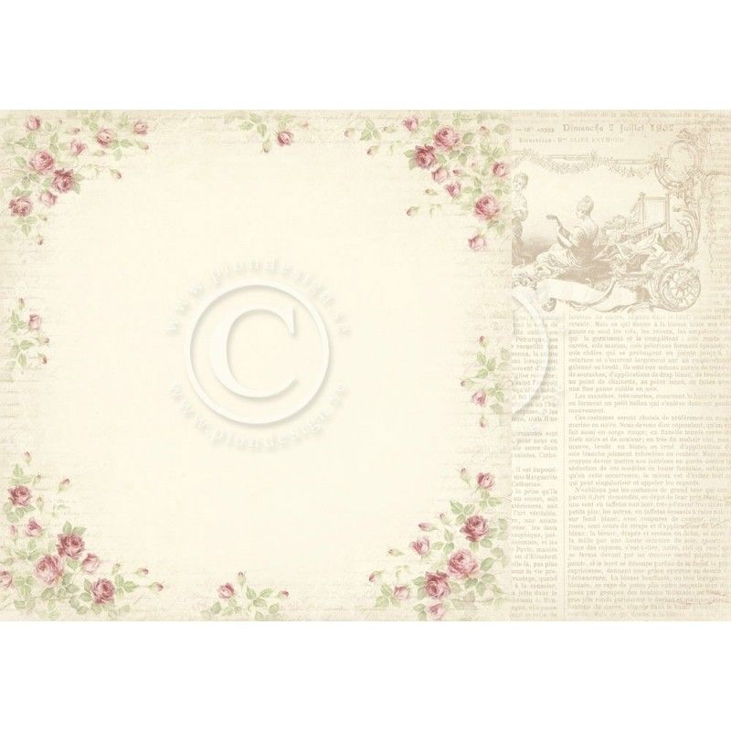 Papel scrapbooking Rose du jardin PD5703F | L'aura Bella