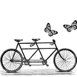 Tandem y mariposas. Scrapbooking.Aladine. Sellos