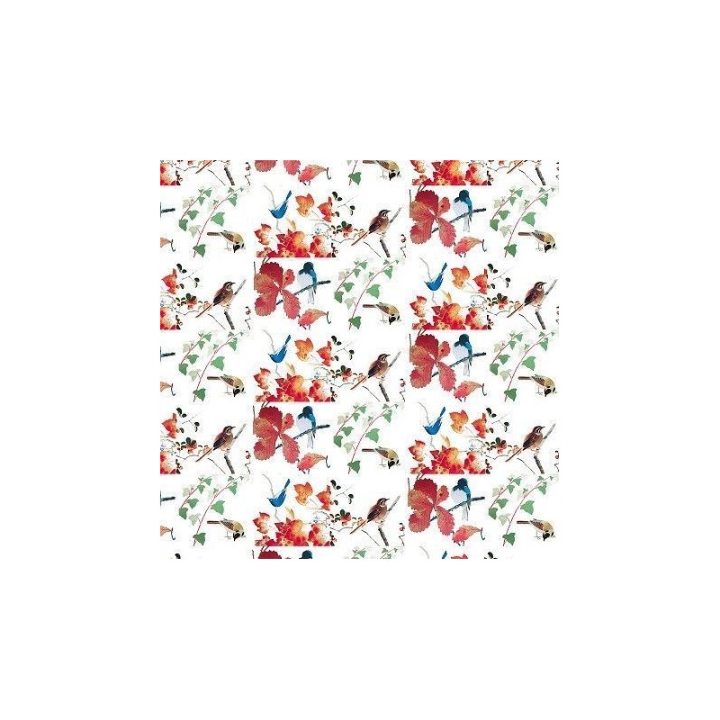 Pájaros y plantas. 70x100 cm. Artpapel. Encuadernación