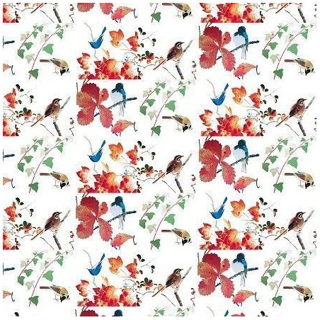 Pájaros y plantas. 70x100 cm. Artpapel. Encuadernación